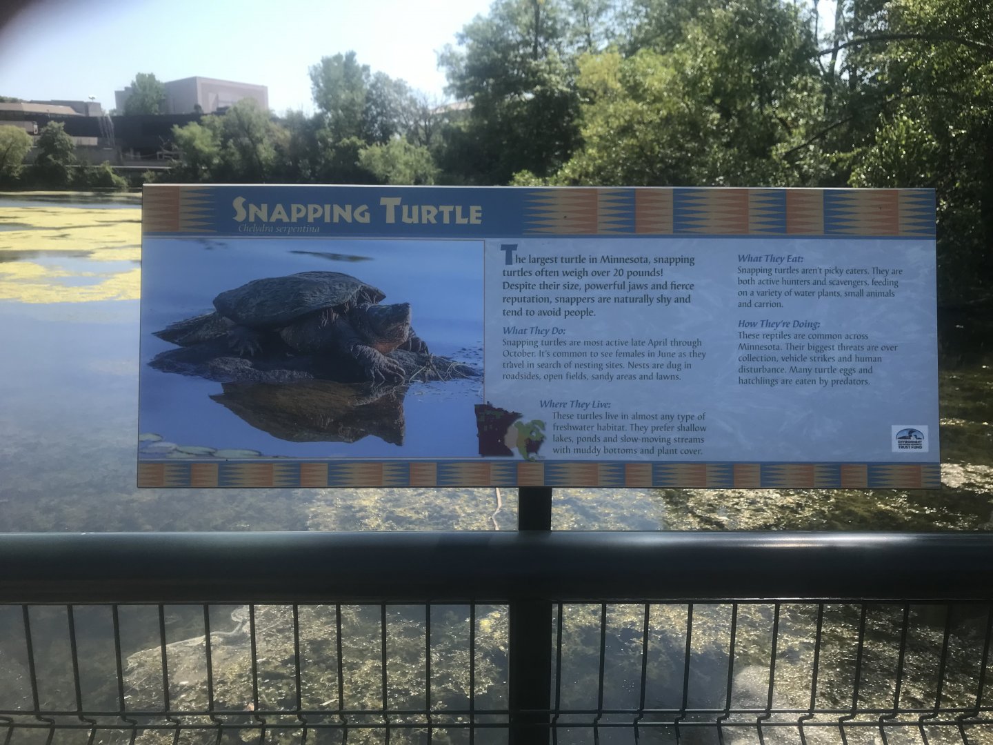 New Signage for Wild Snapping Turtles