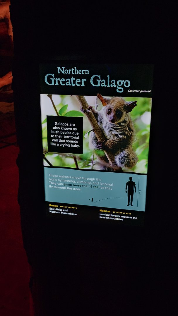 New Signage in Kingdoms of the Night