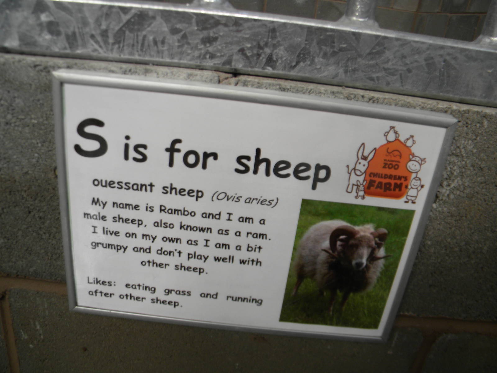 New Signage in the Childrens farm at Blackpool Zoo 10th April 2011