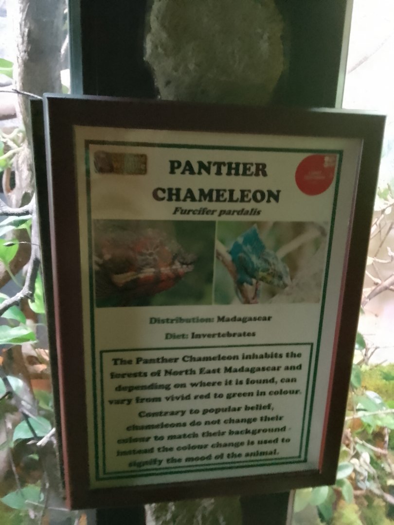 New signage in the reptile House, CWP