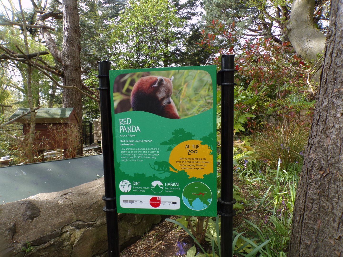 New signage in the zoo 20.4.25