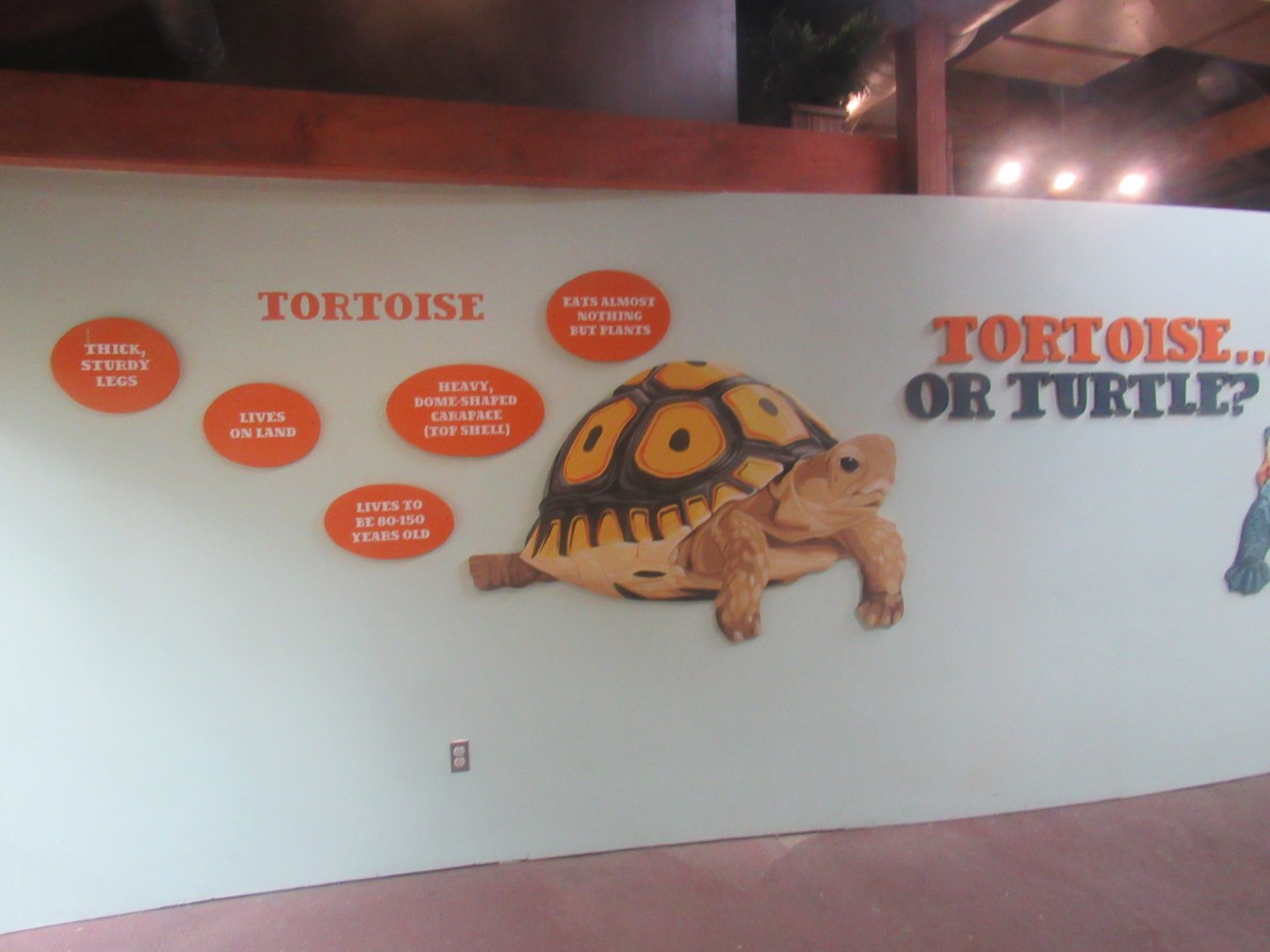 new signage in World of Adaptions