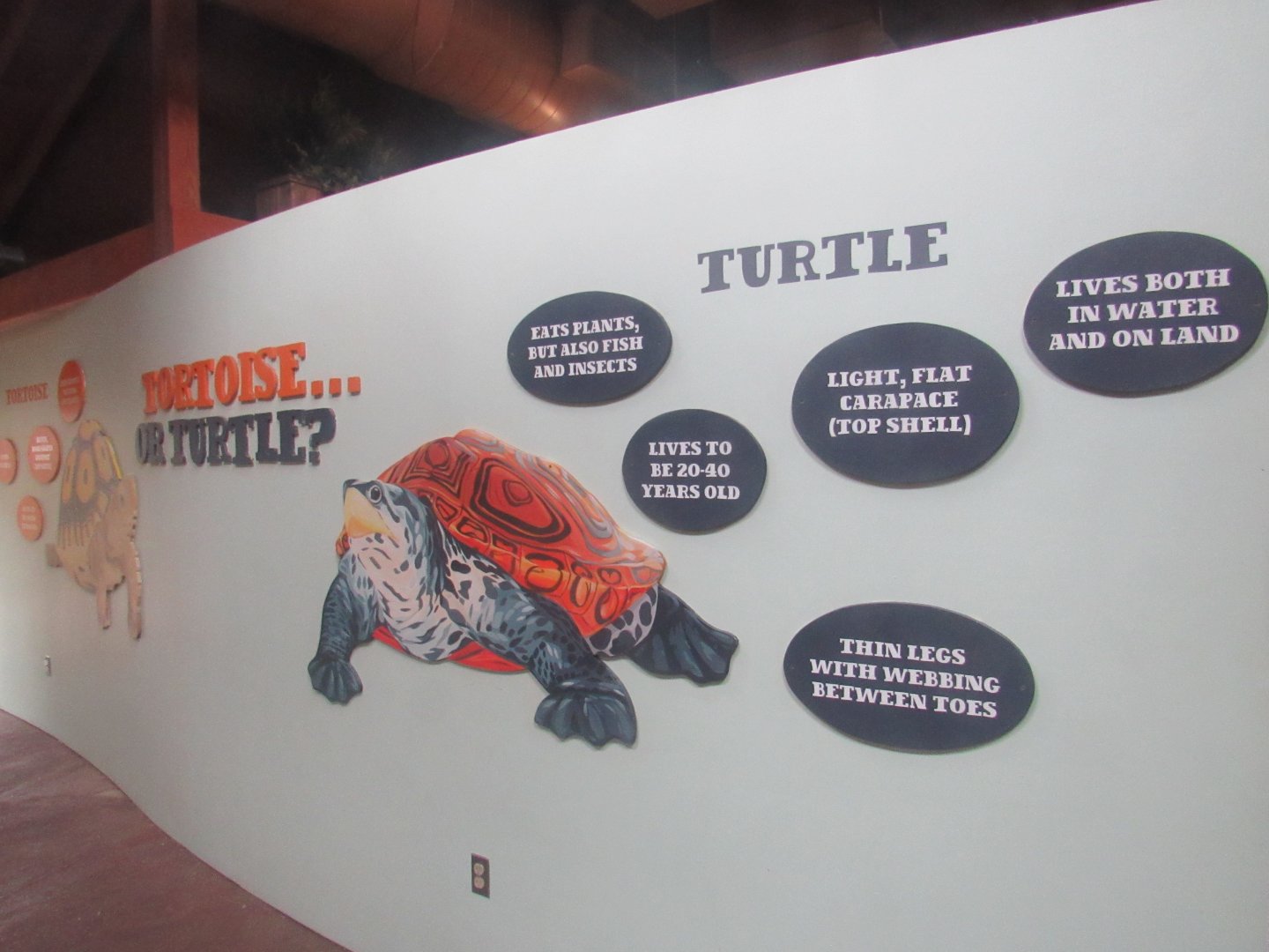 new signage in World of Adaptions