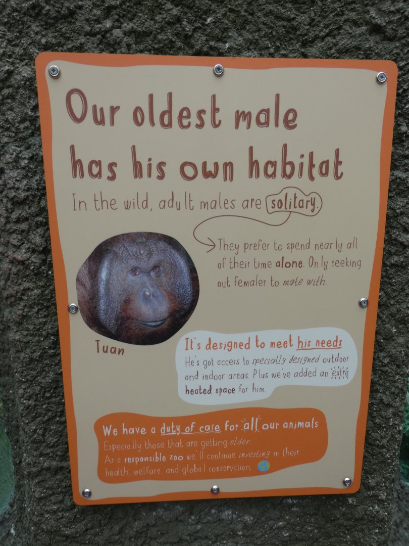 New signage on Tuan the Bornean Orang-utan
