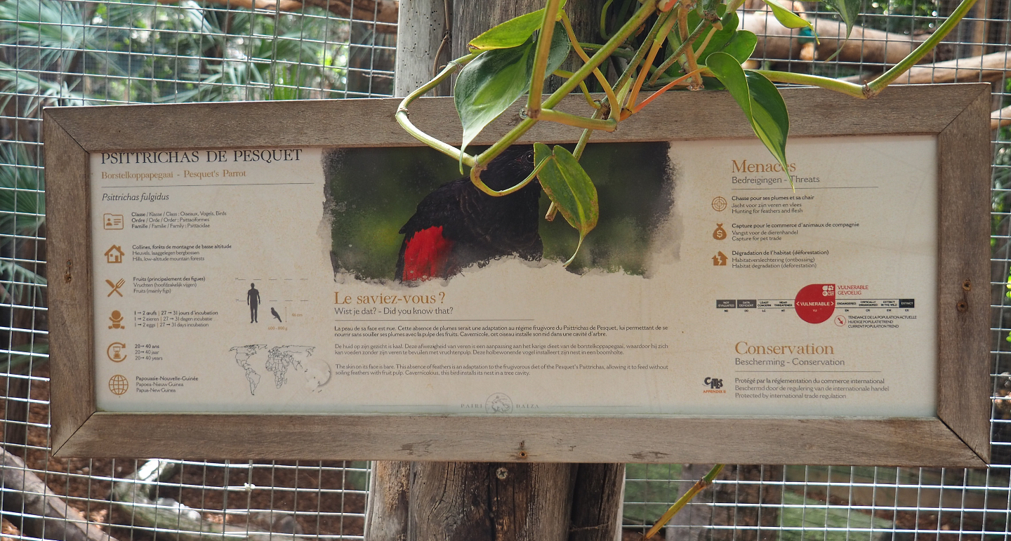 New signage style - Example for Pesquet's parrot, 2022-06-28