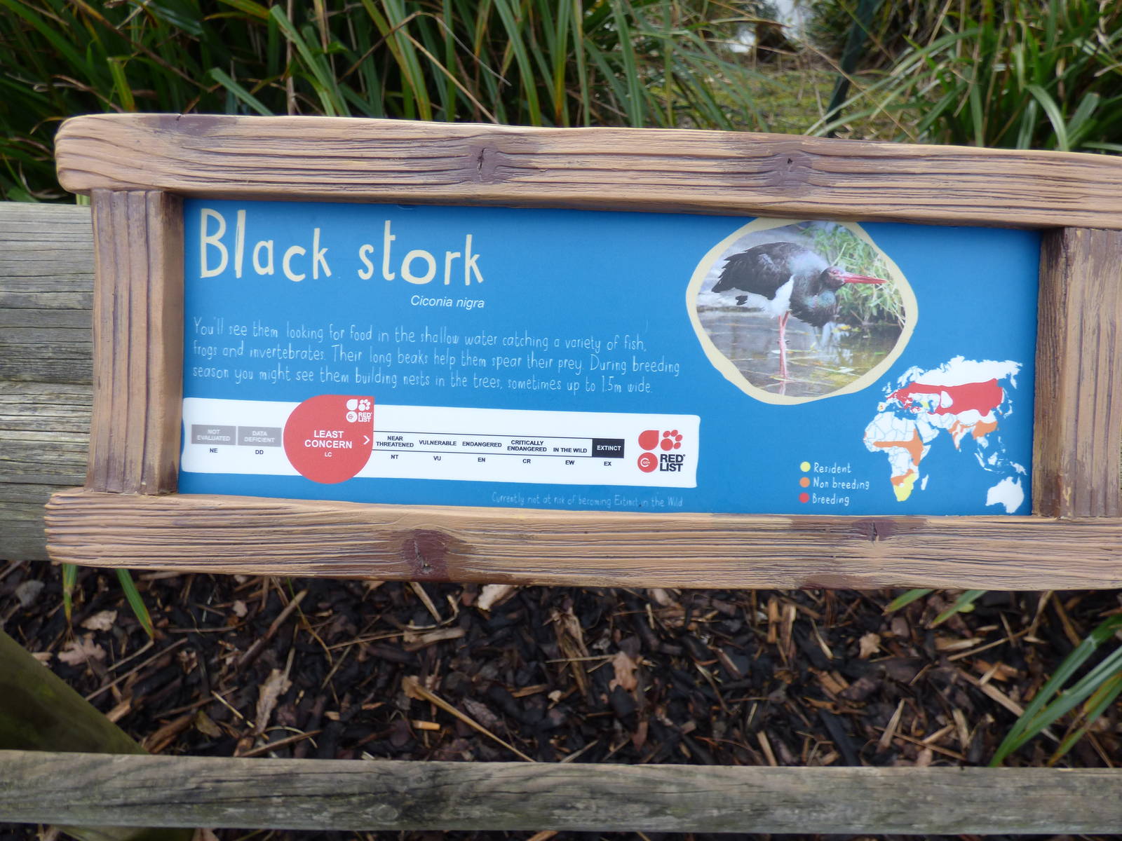 New signage style for Black Stork