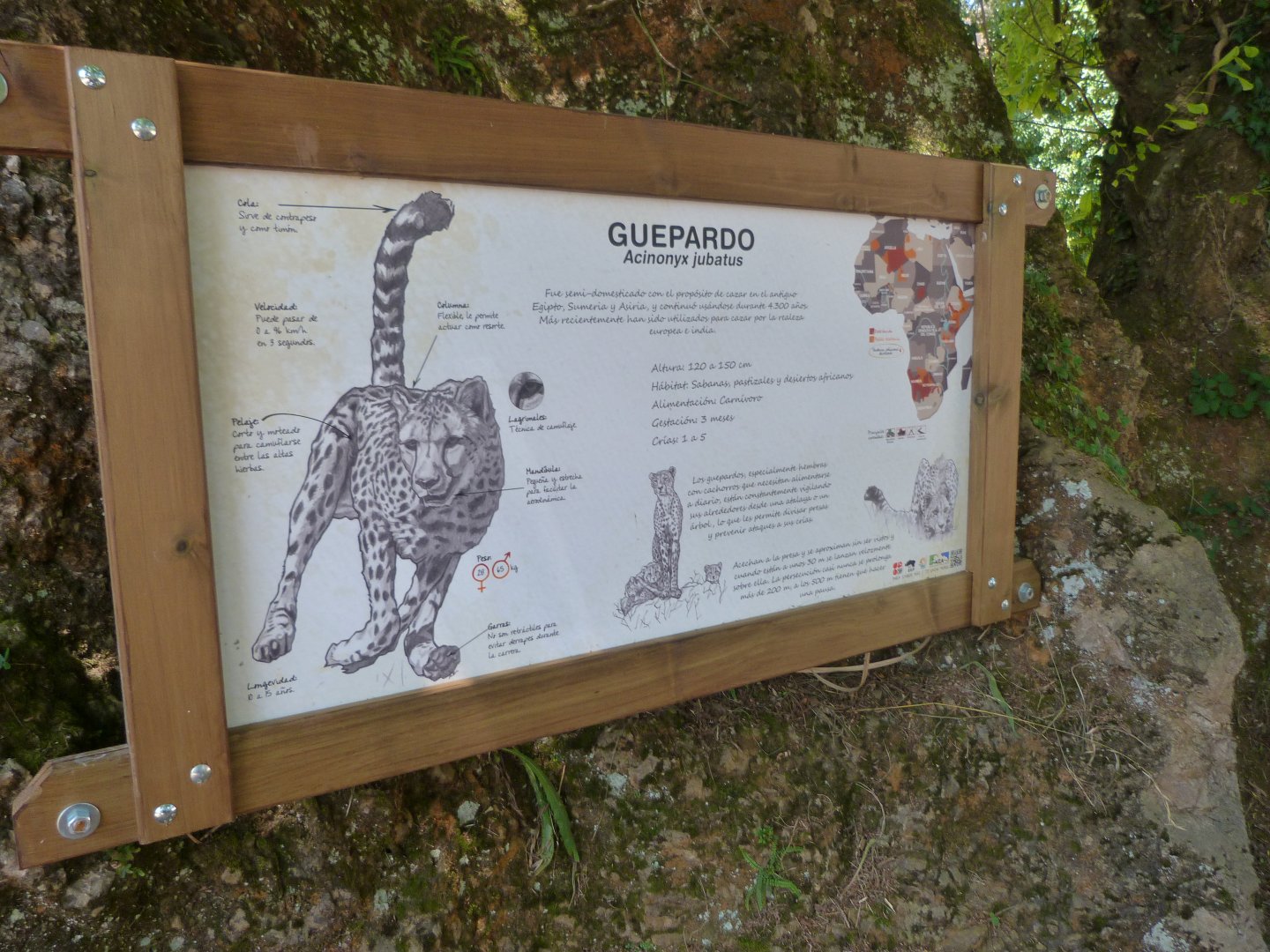 New signage style for South African cheetahs -Parque de la Naturaleza de Cabárceno (2025)