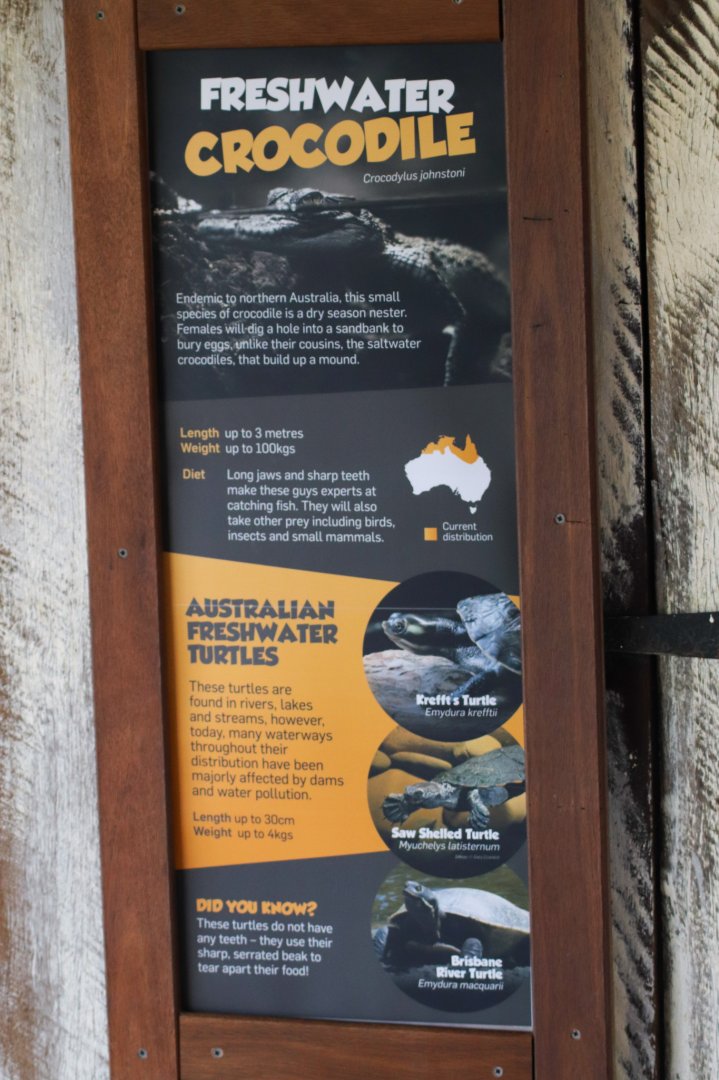 New Signage - Turtles