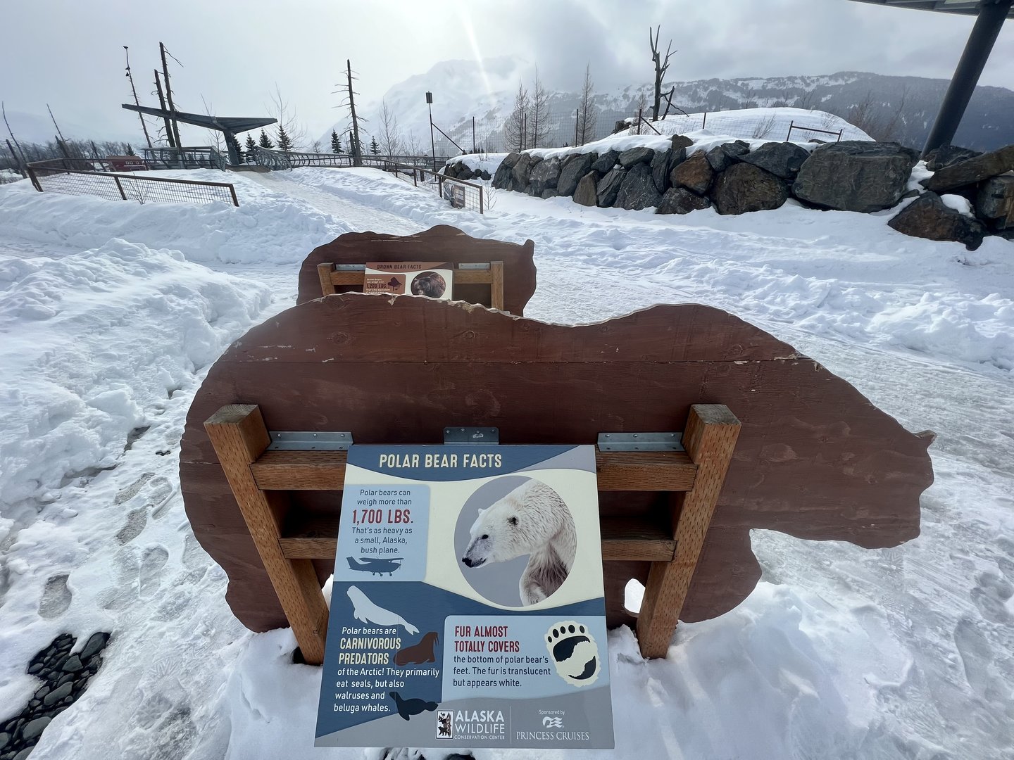 New Signs are emplaced behind Bear illustrations