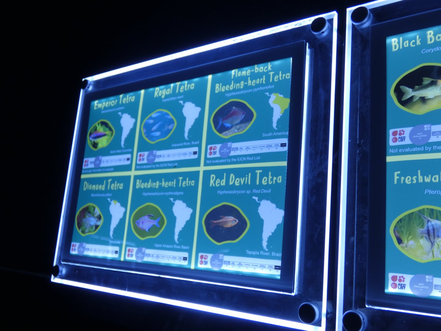 New signs in Aquarium (2)