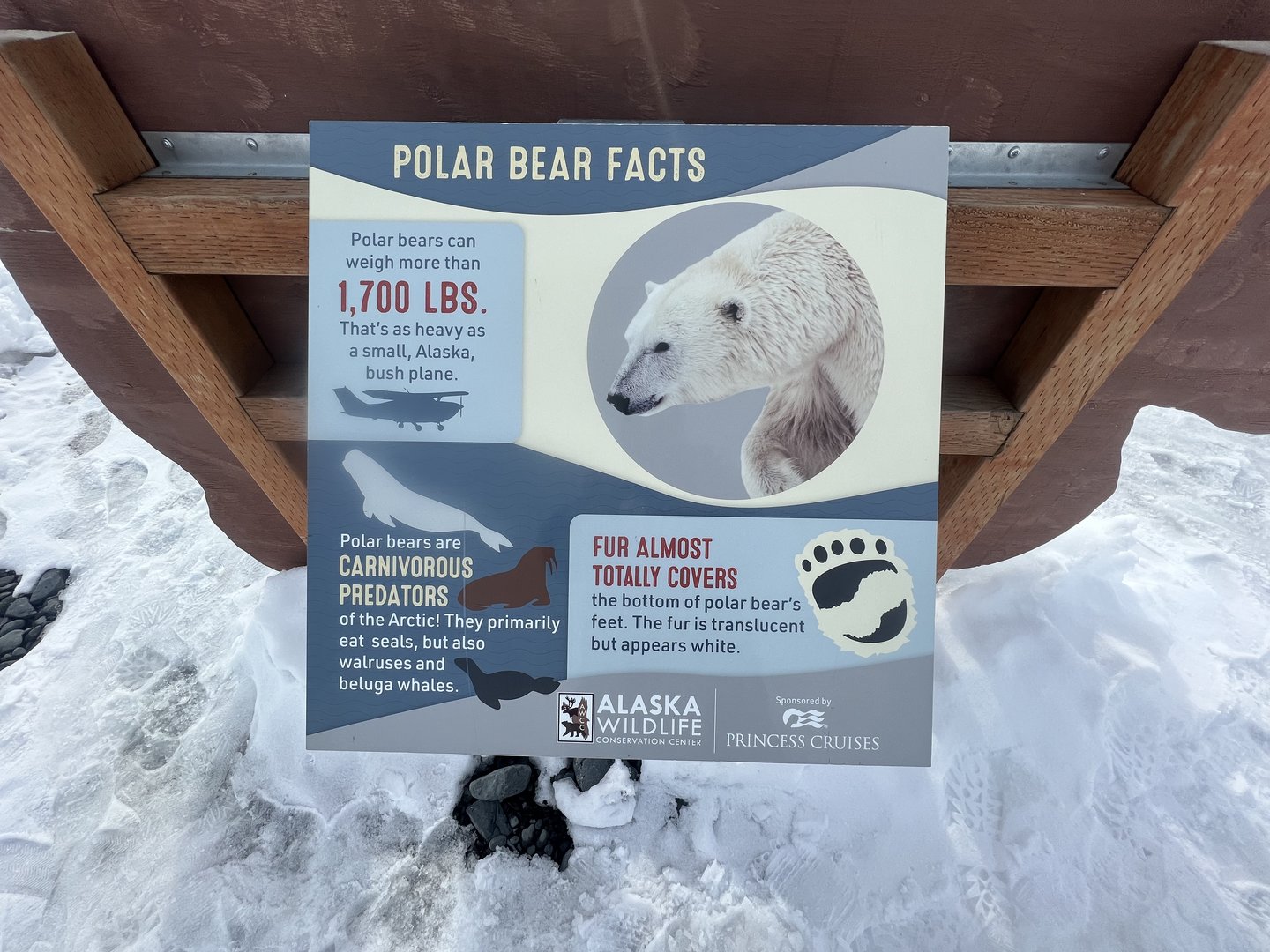 New Signs in time for Cruise Ship season