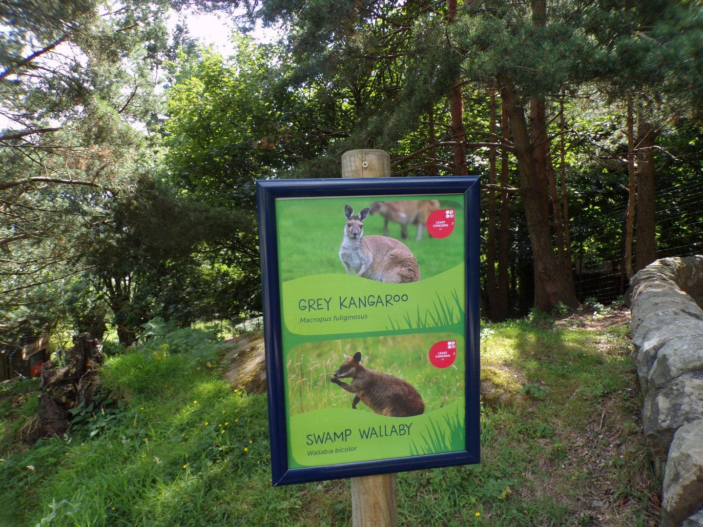 New signs in wallaby area 18.7.25