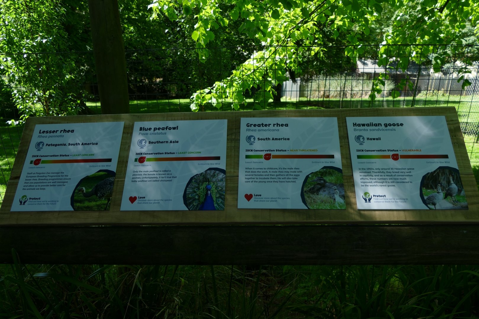 New signs, May 2019 #1