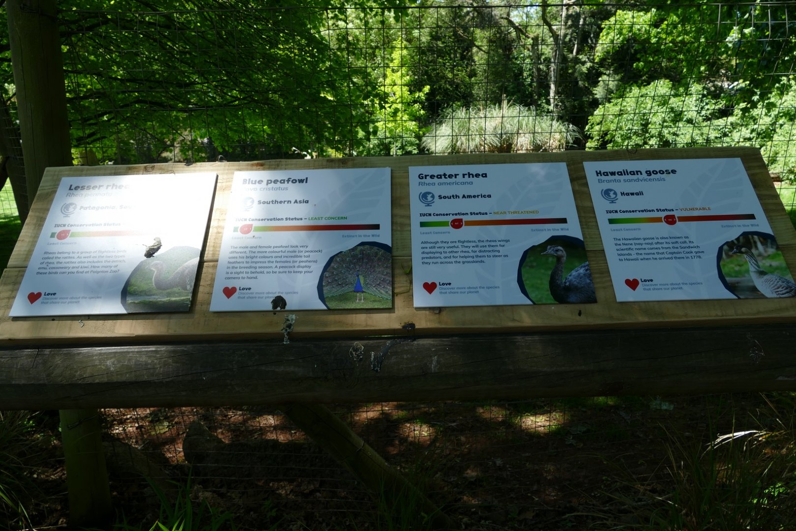 New signs, May 2019 #2