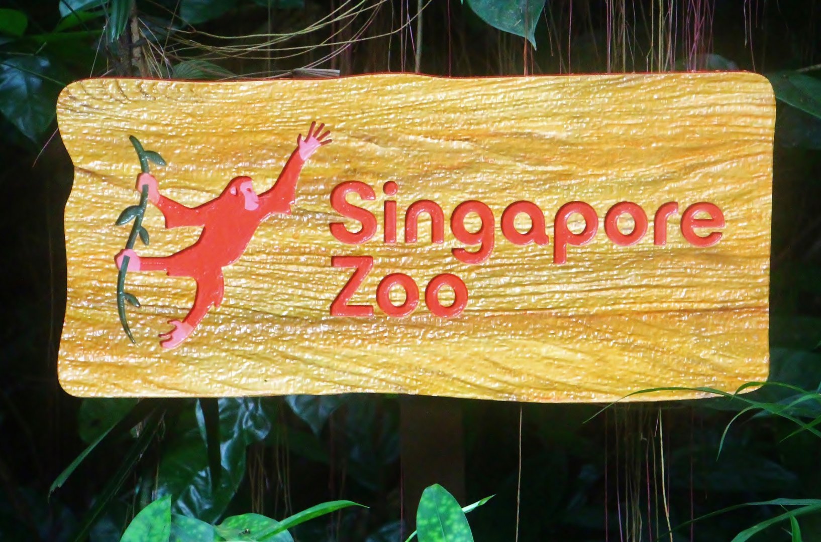 New Singapore Zoo logo