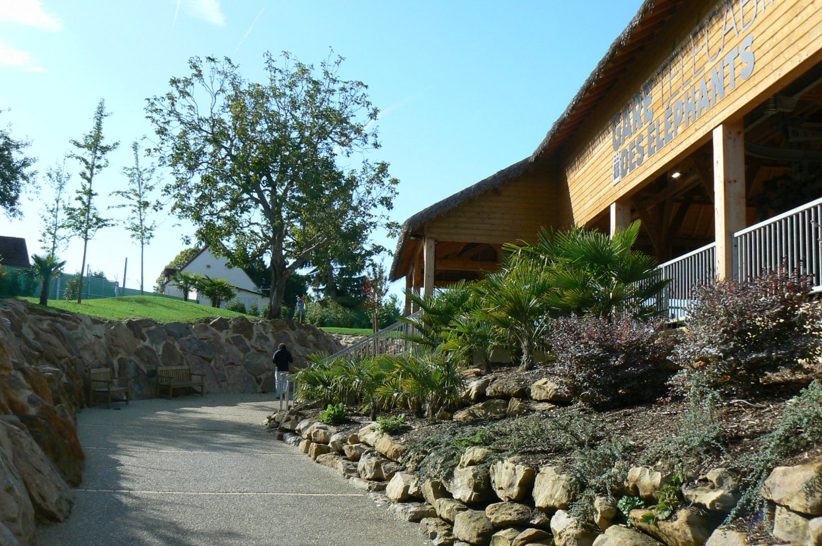 New skyway cable car system