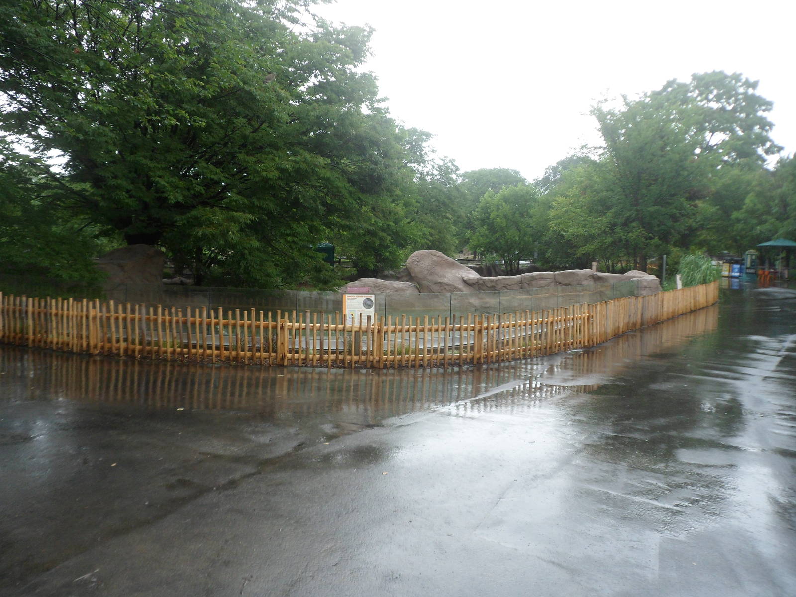 New Slender-snouted Crocodile Exhibit