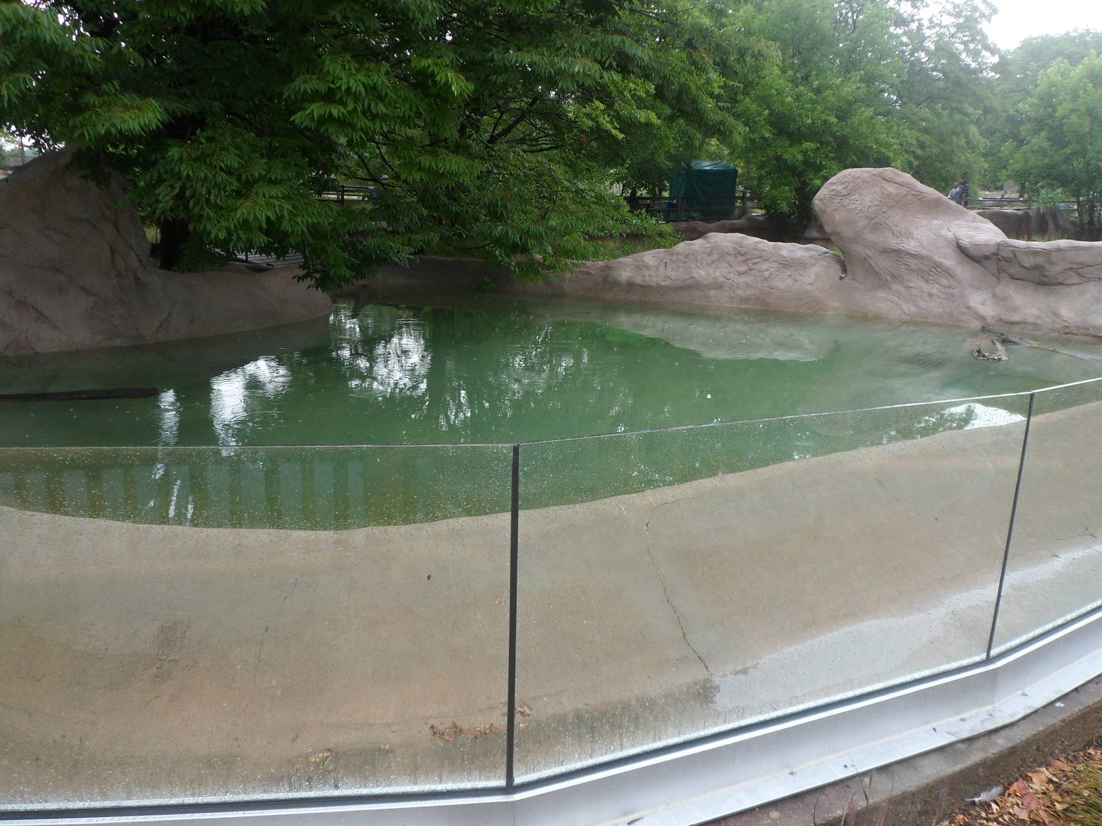 New Slender-snouted Crocodile Exhibit