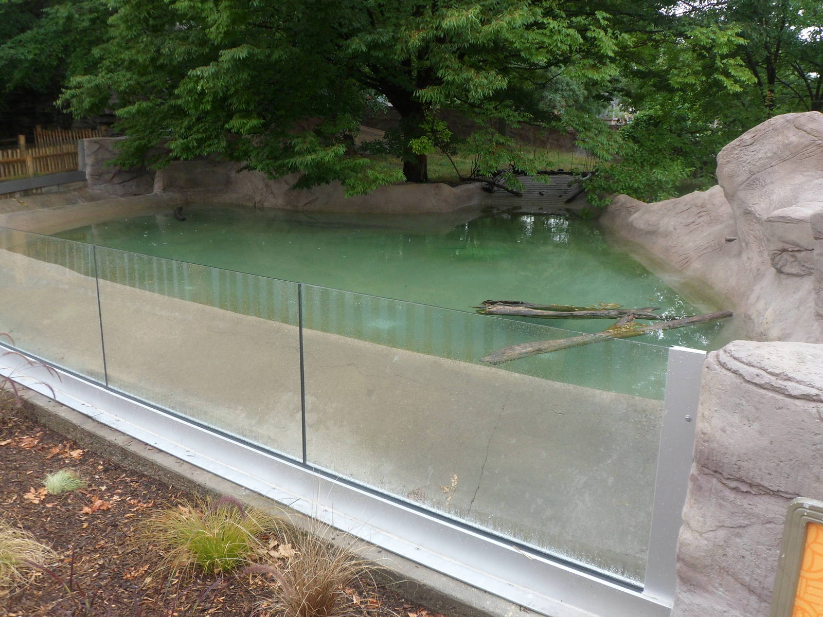 New Slender-snouted Crocodile Exhibit