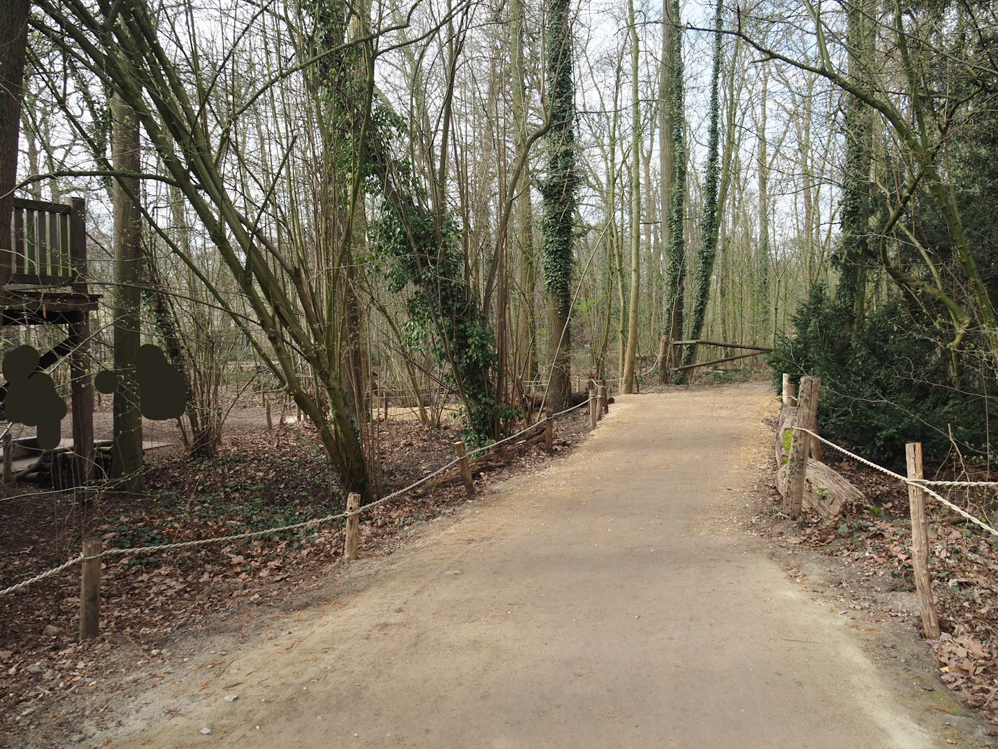 New slightly diverted main route to the Barbary macaques, 2025-03-23