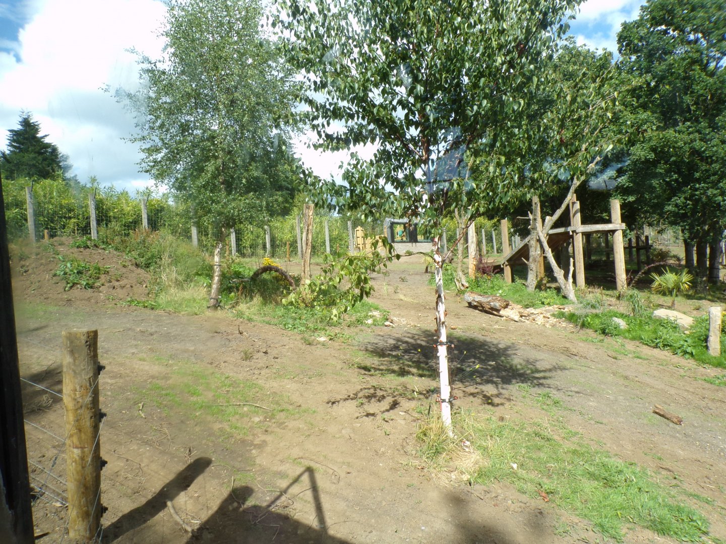 New Sloth bear enclosure 18.7.25