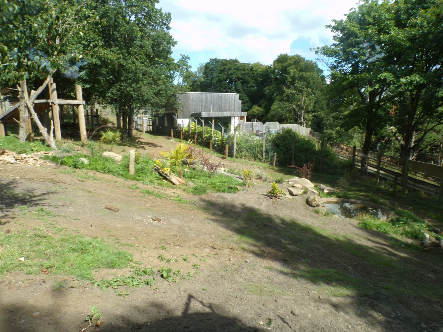 New sloth bear enclosure 18.7.25