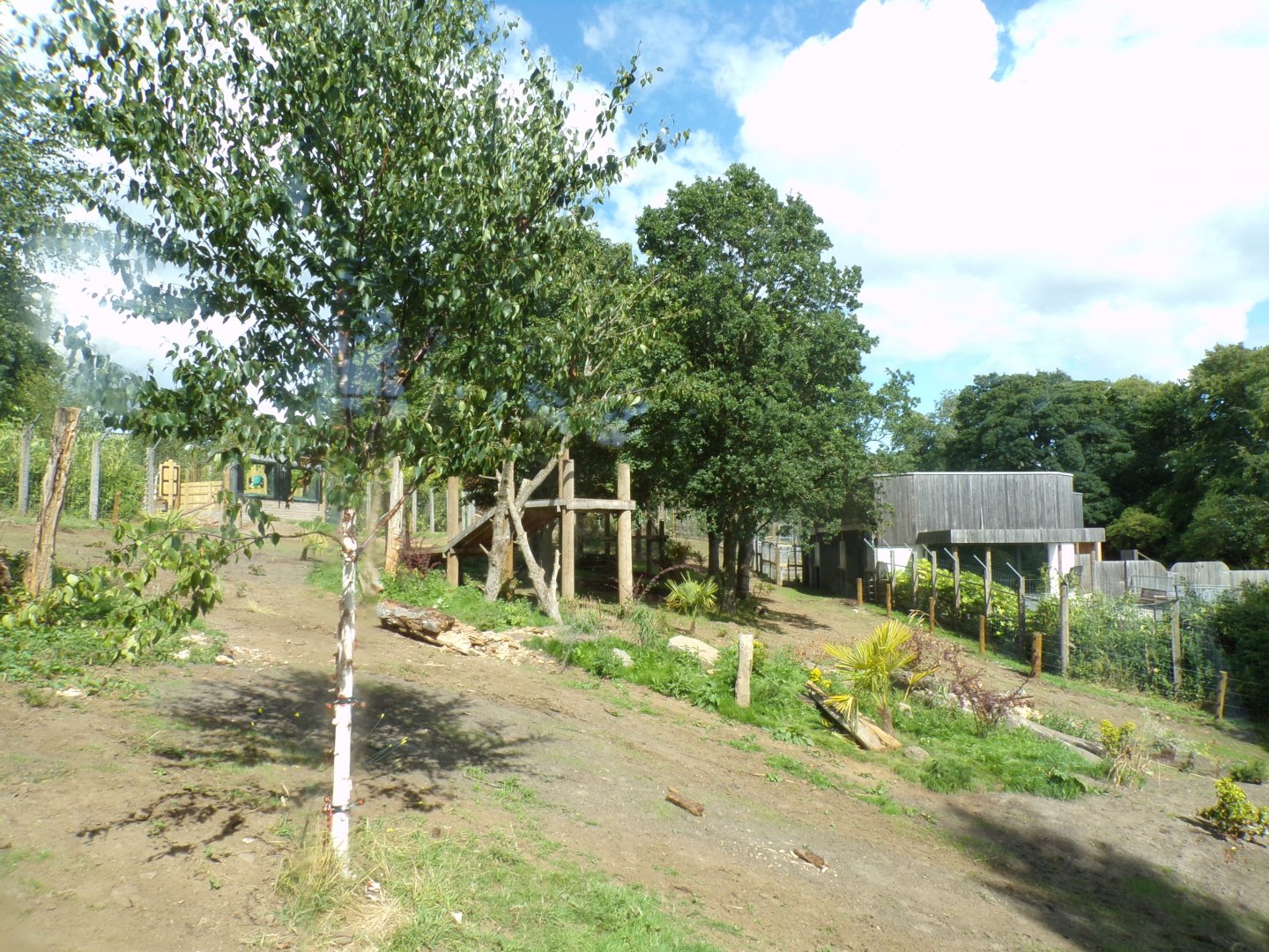 New sloth bear enclosure 18.7.25