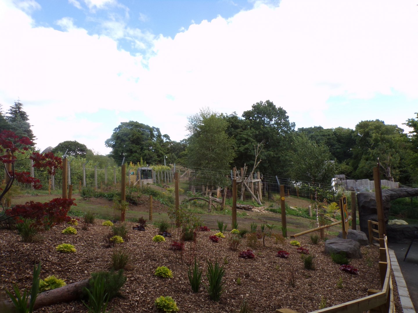 New sloth bear enclosure 18.7.25