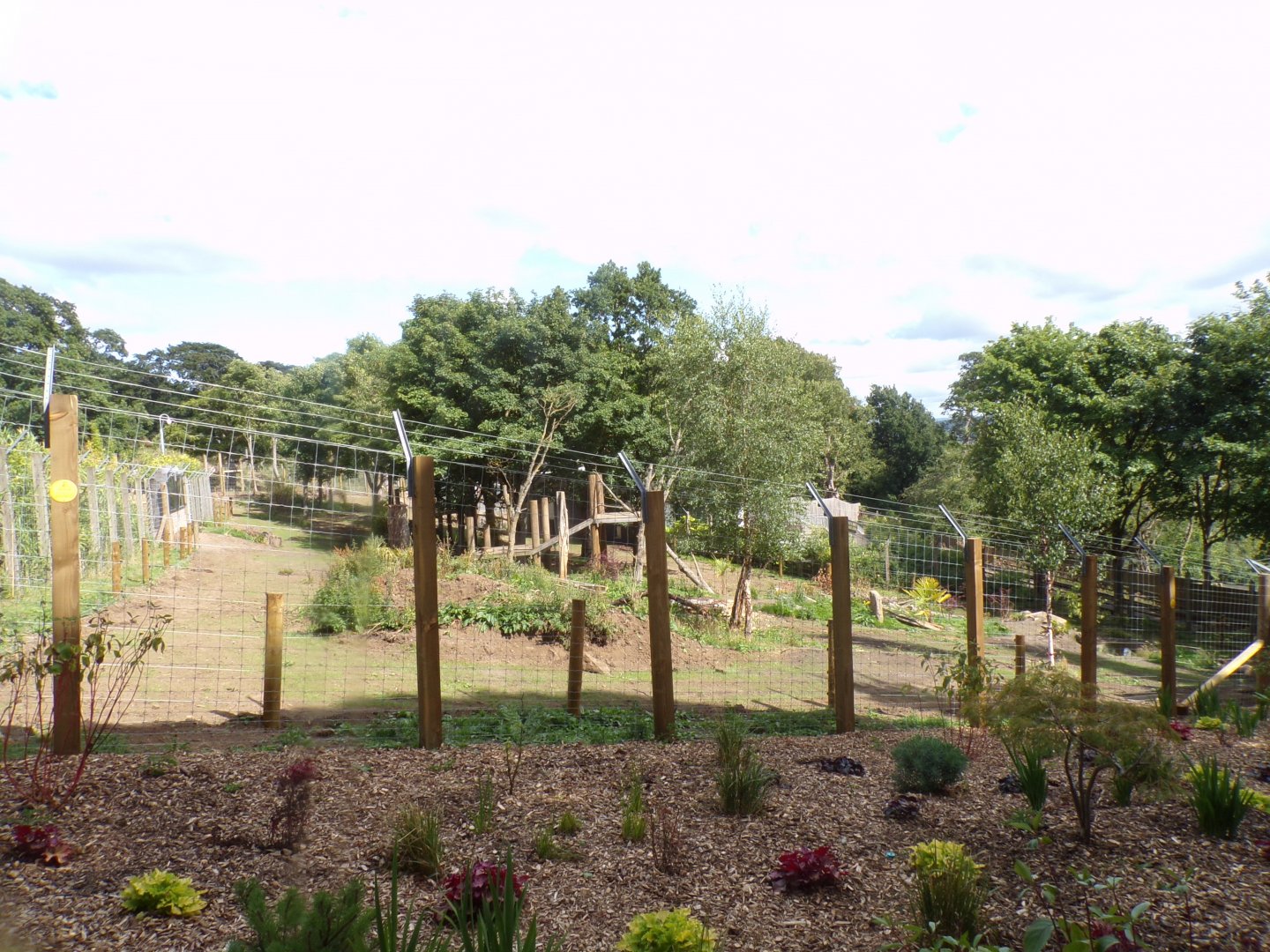 New sloth bear enclosure 18.7.25