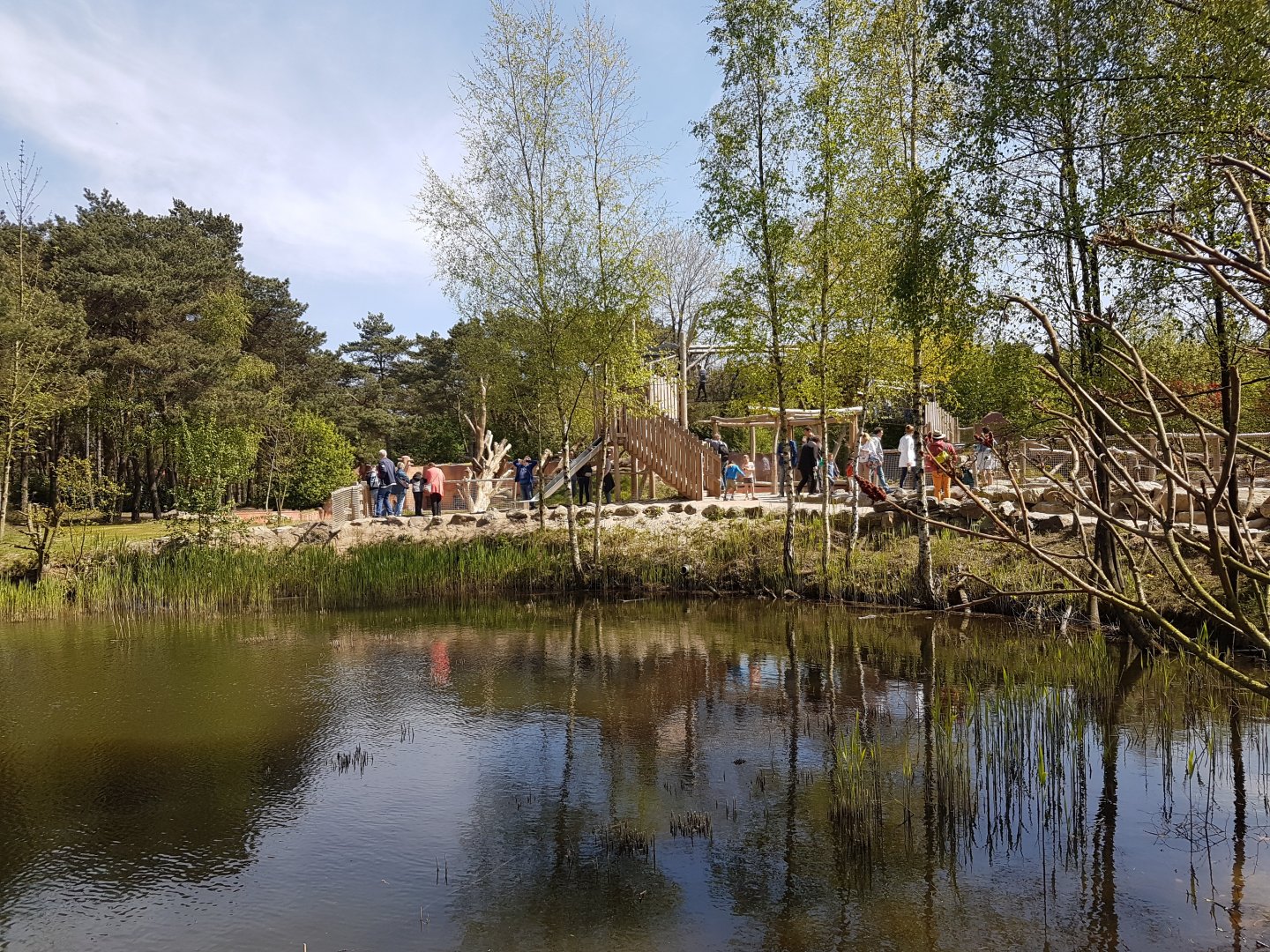 New Sloth Bear-enclosure