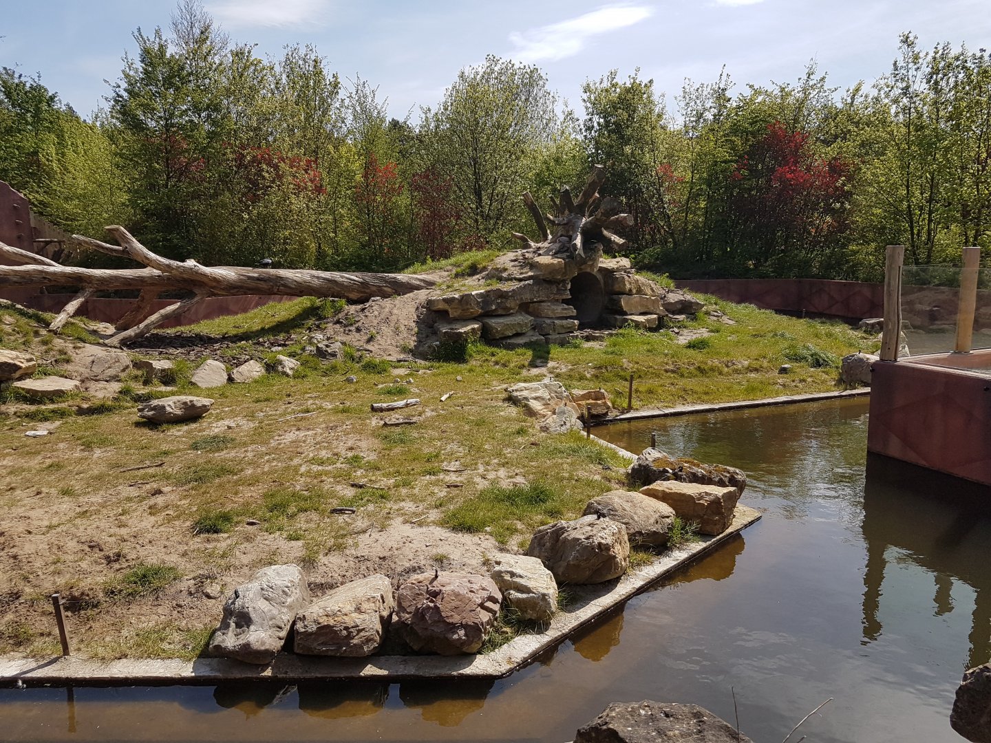 New Sloth Bear-enclosure