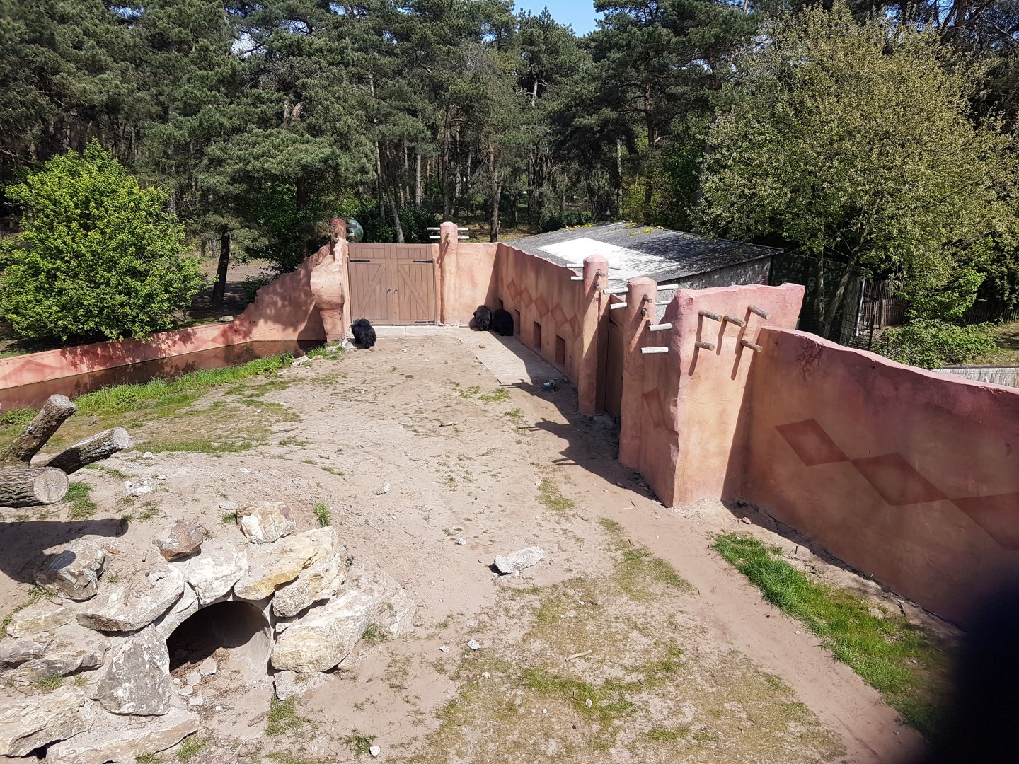 New Sloth Bear Enclosure