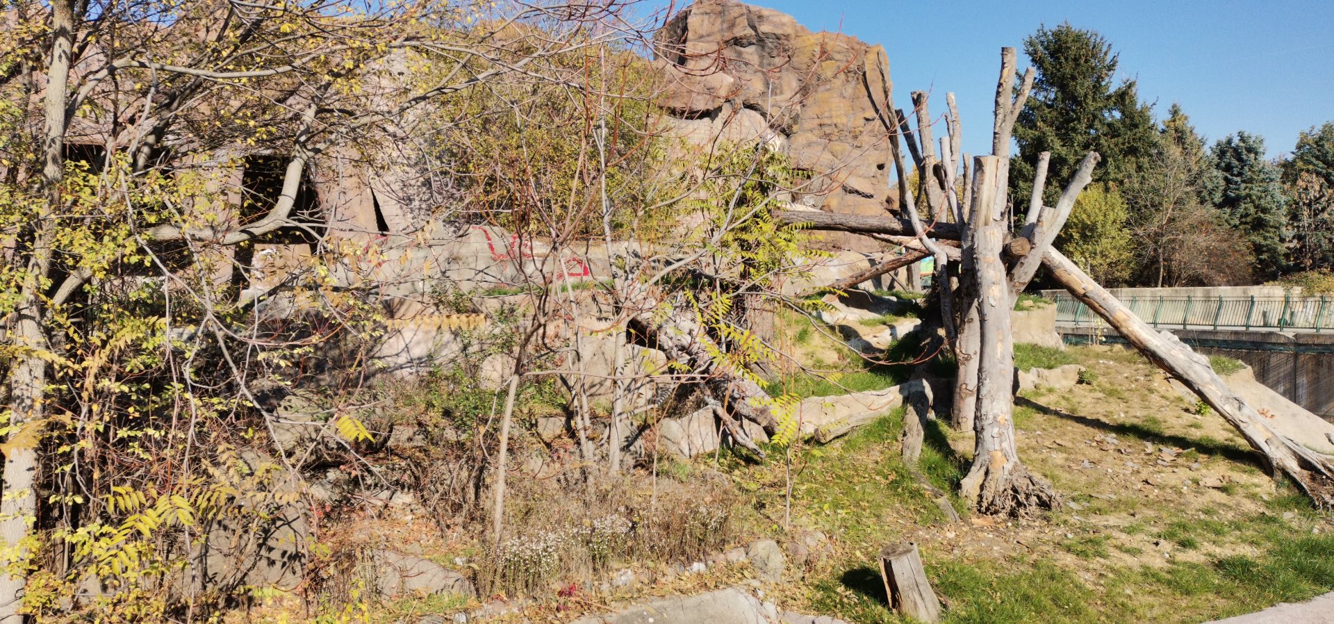 "New" Sloth Bear exhibit