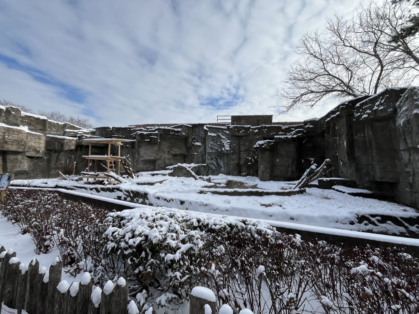 New Sloth Bear Habitat