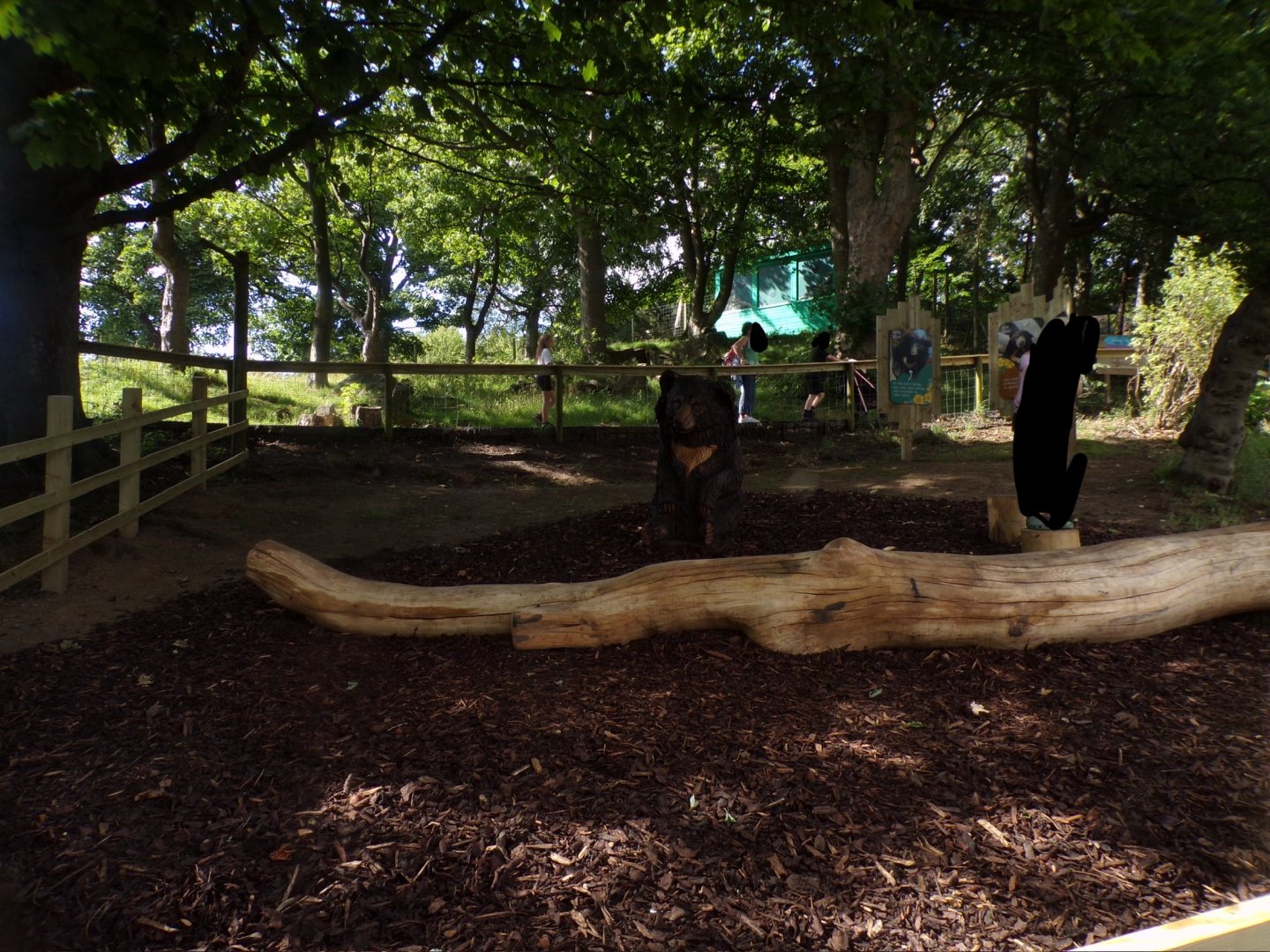 New sloth bear trim trail area 18.7.25