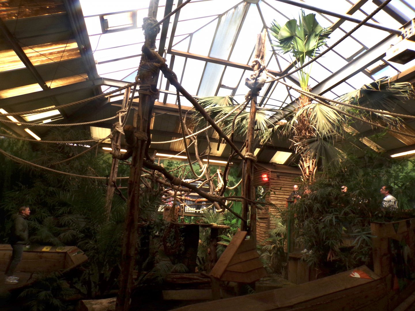 New sloth climbing frames 20.4.25