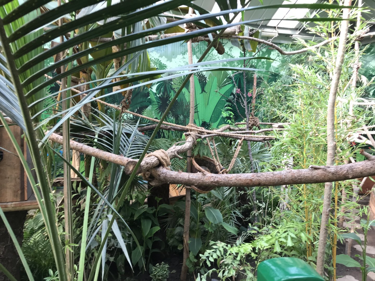 New sloth enclosure
