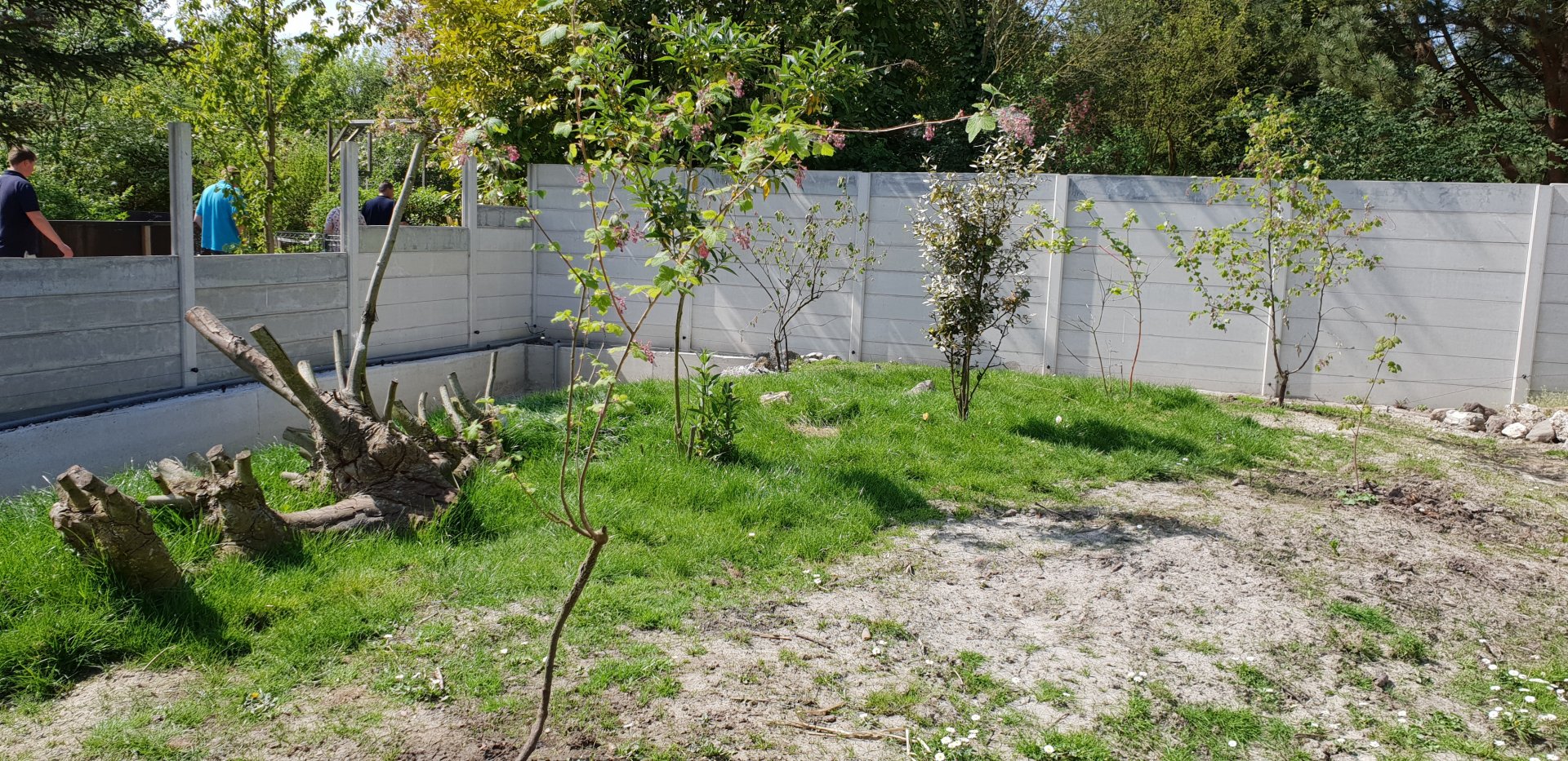 New Small-clawed otter-enclosure