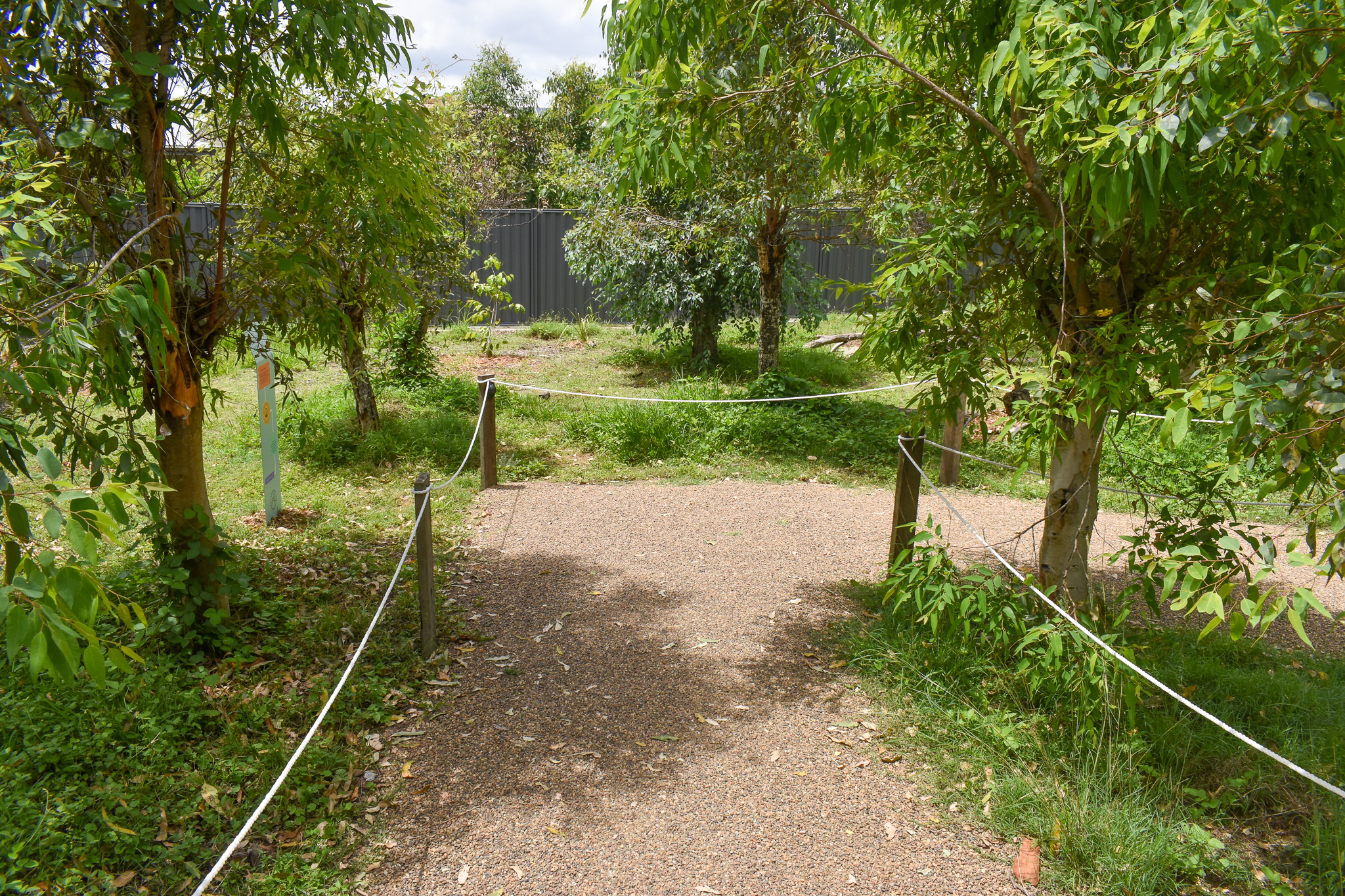 New Small Macropod Walkthrough