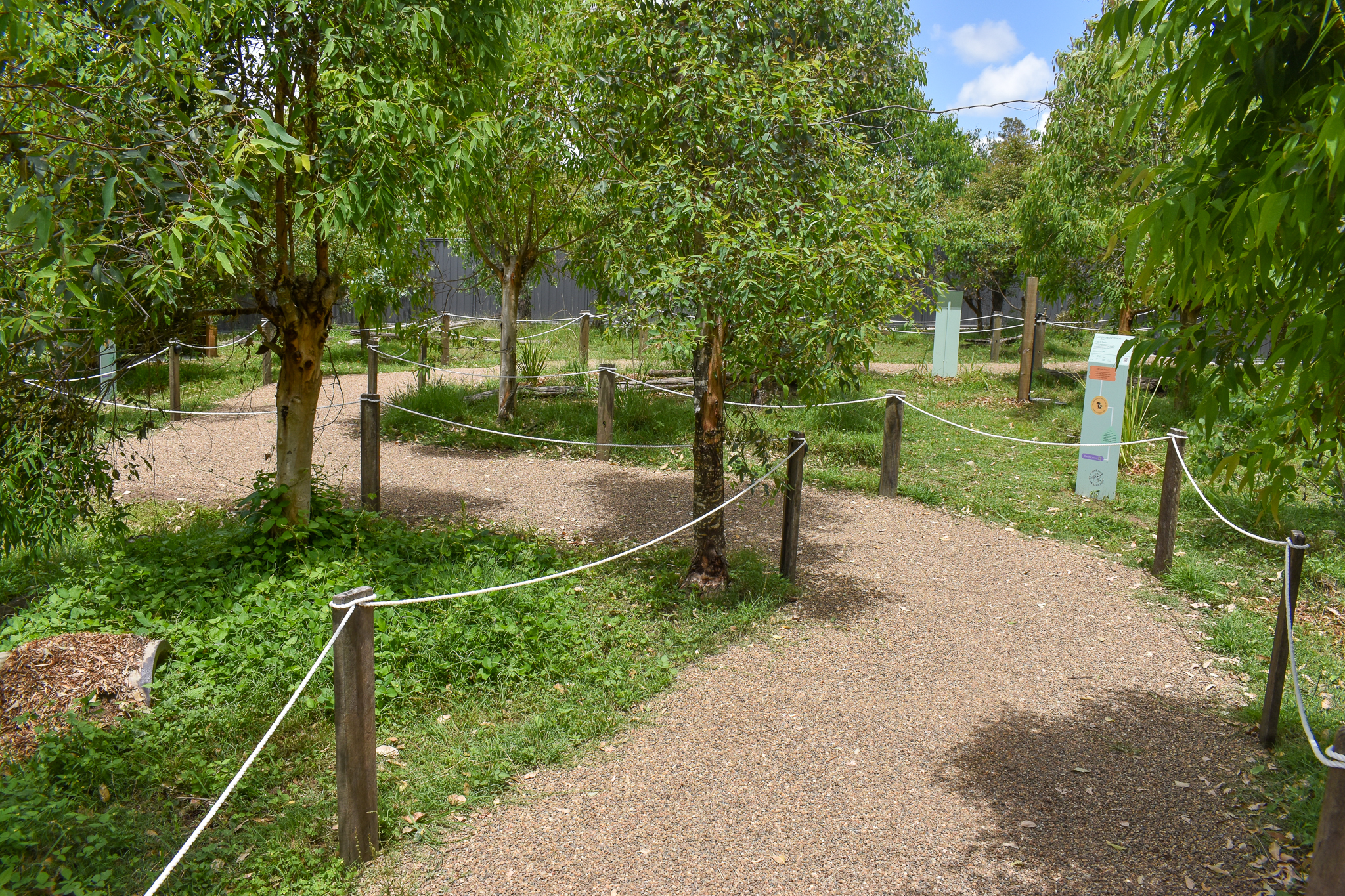 New Small Macropod Walkthrough