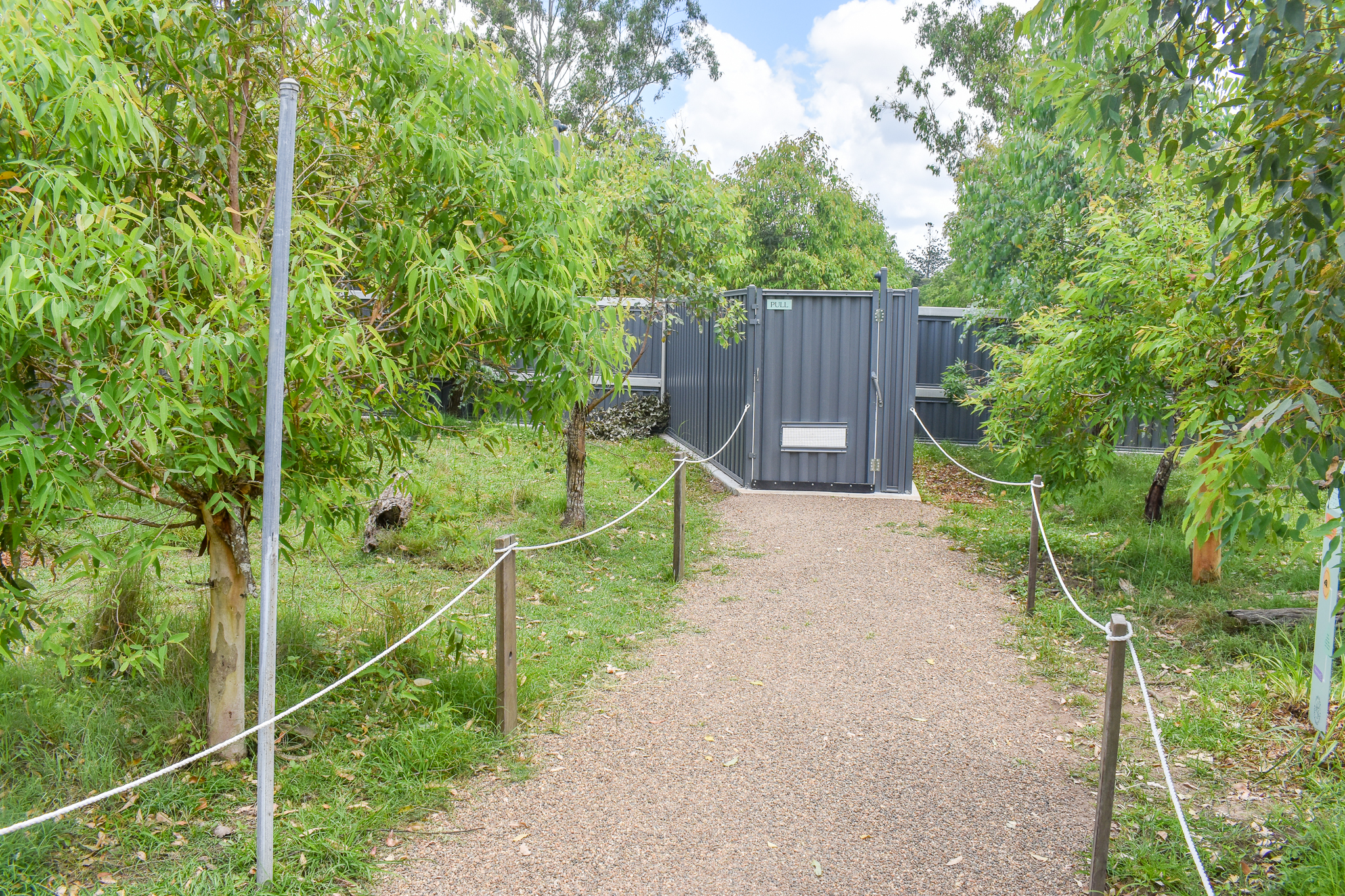 New Small Macropod Walkthrough