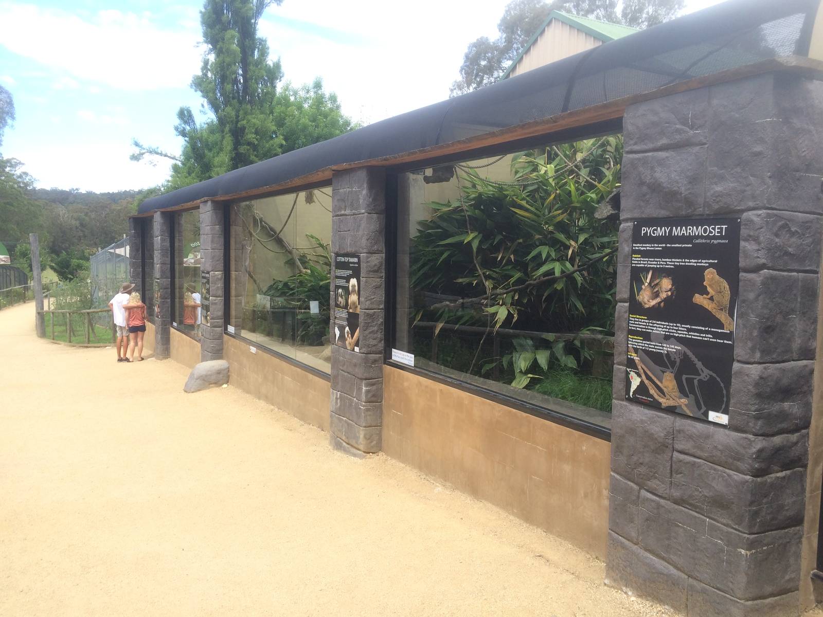 New small monkey exhibits