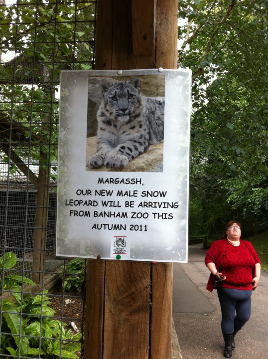 New Snow Leopard - 01/08/11