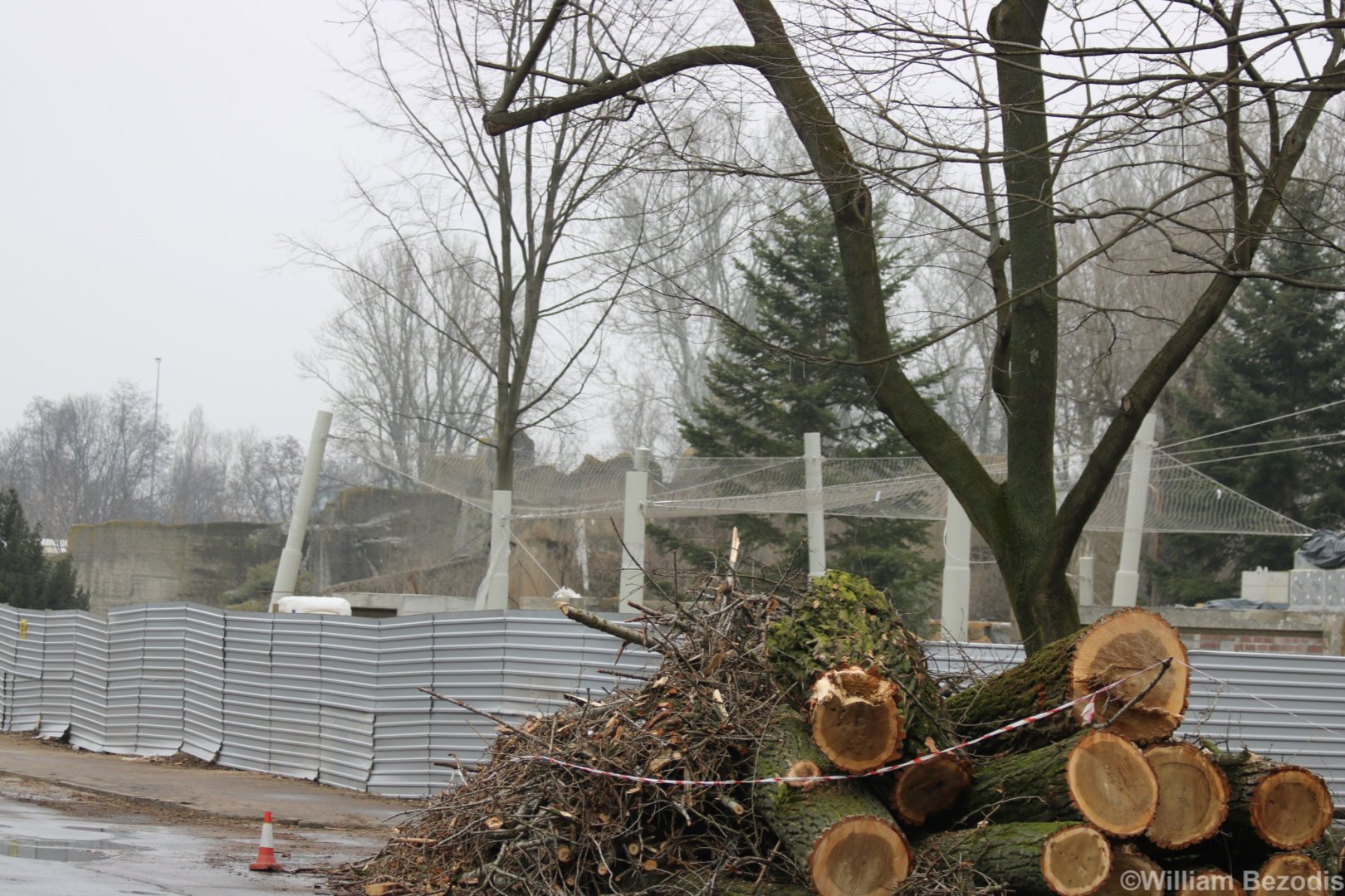 New Snow Leopard Enclosure Construction
