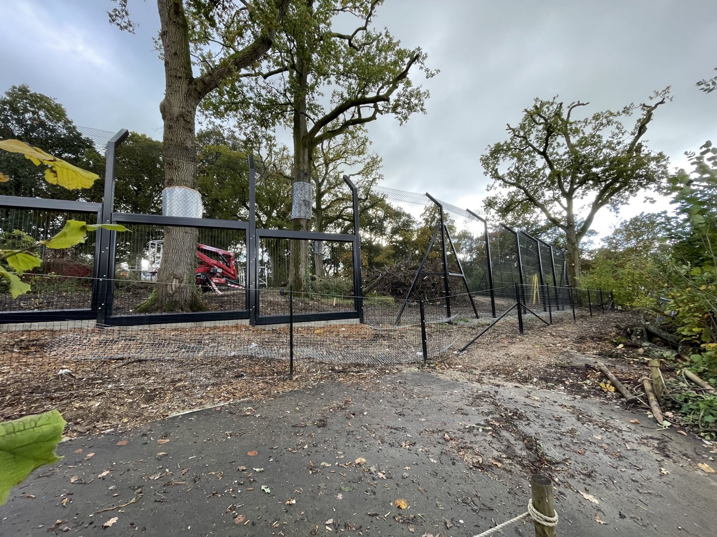 New snow leopard enclosure extension