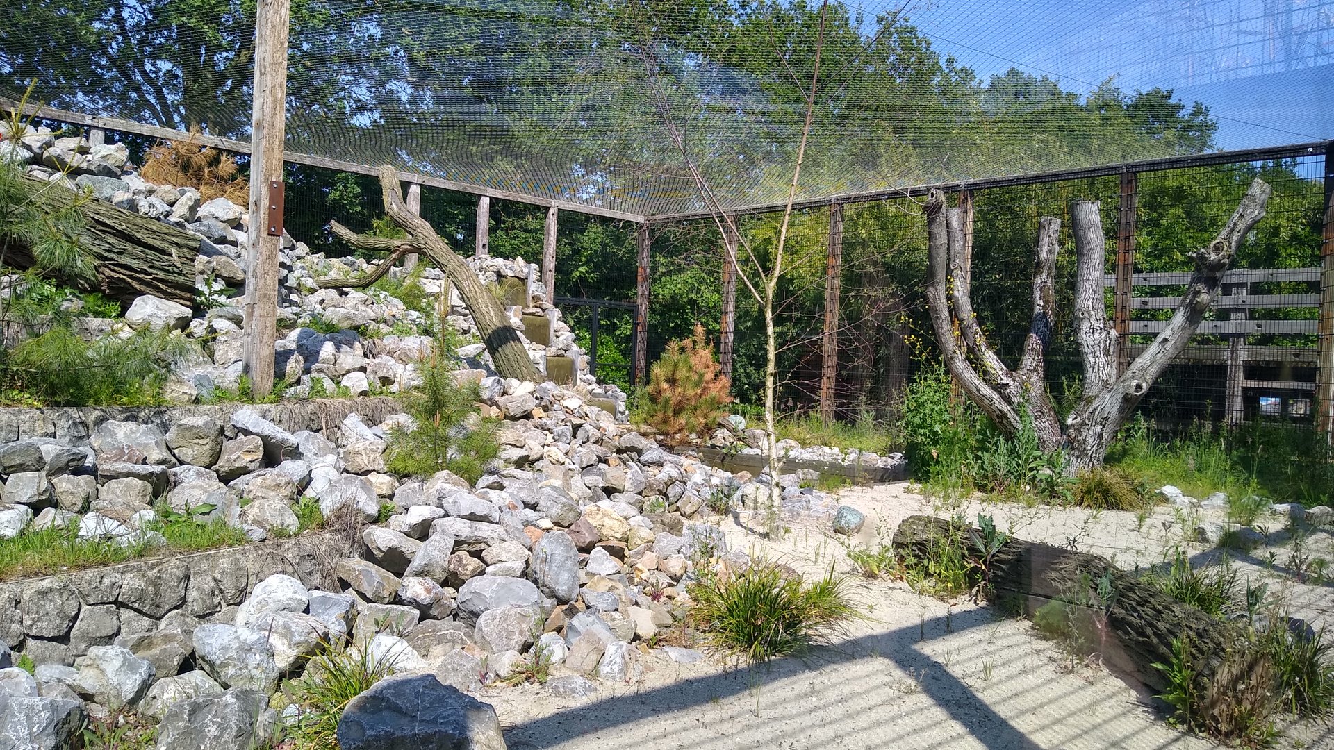 new Snow Leopard enclosure (in the works) 30/05/2023