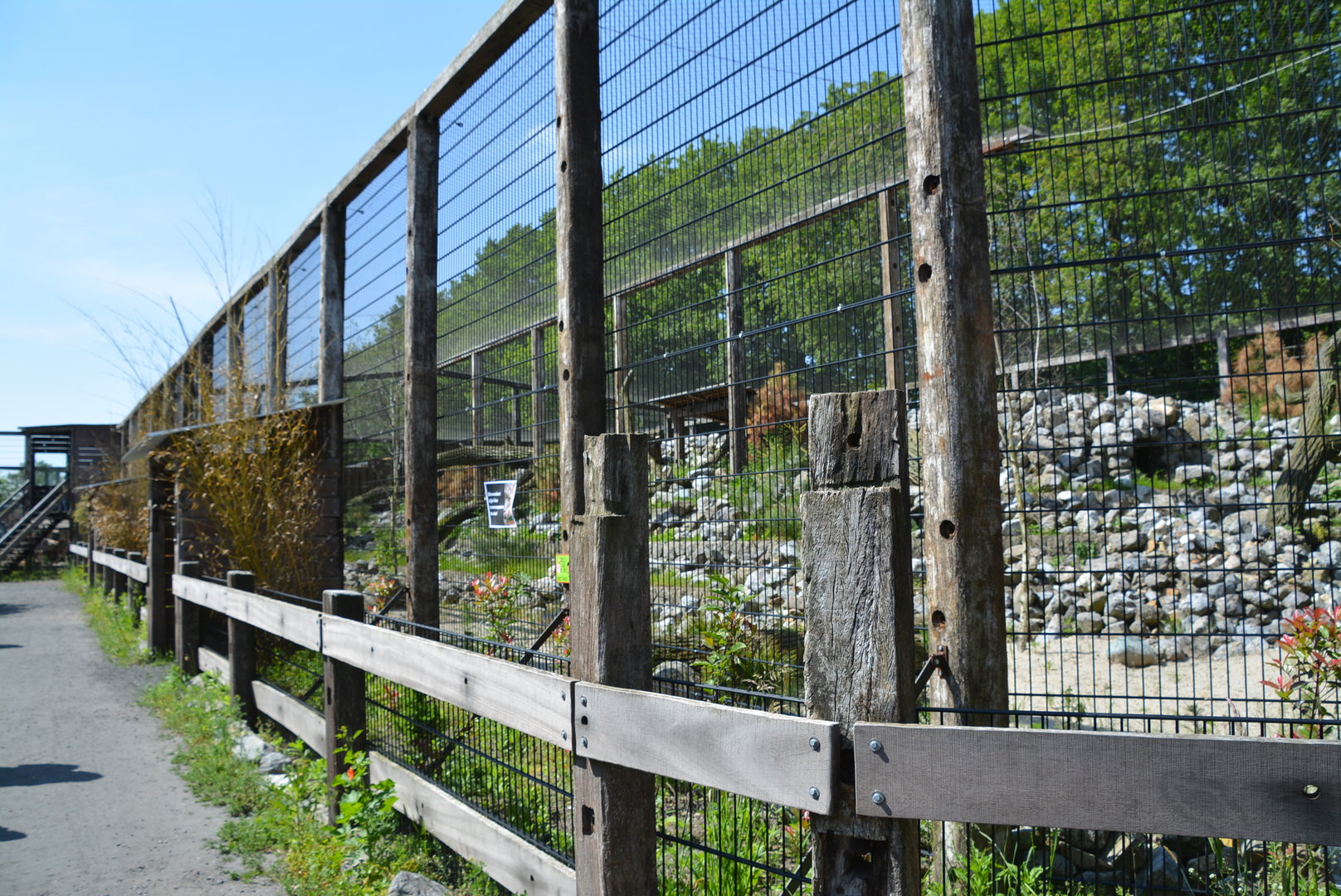 new Snow Leopard enclosure (in the works) 30/05/2023