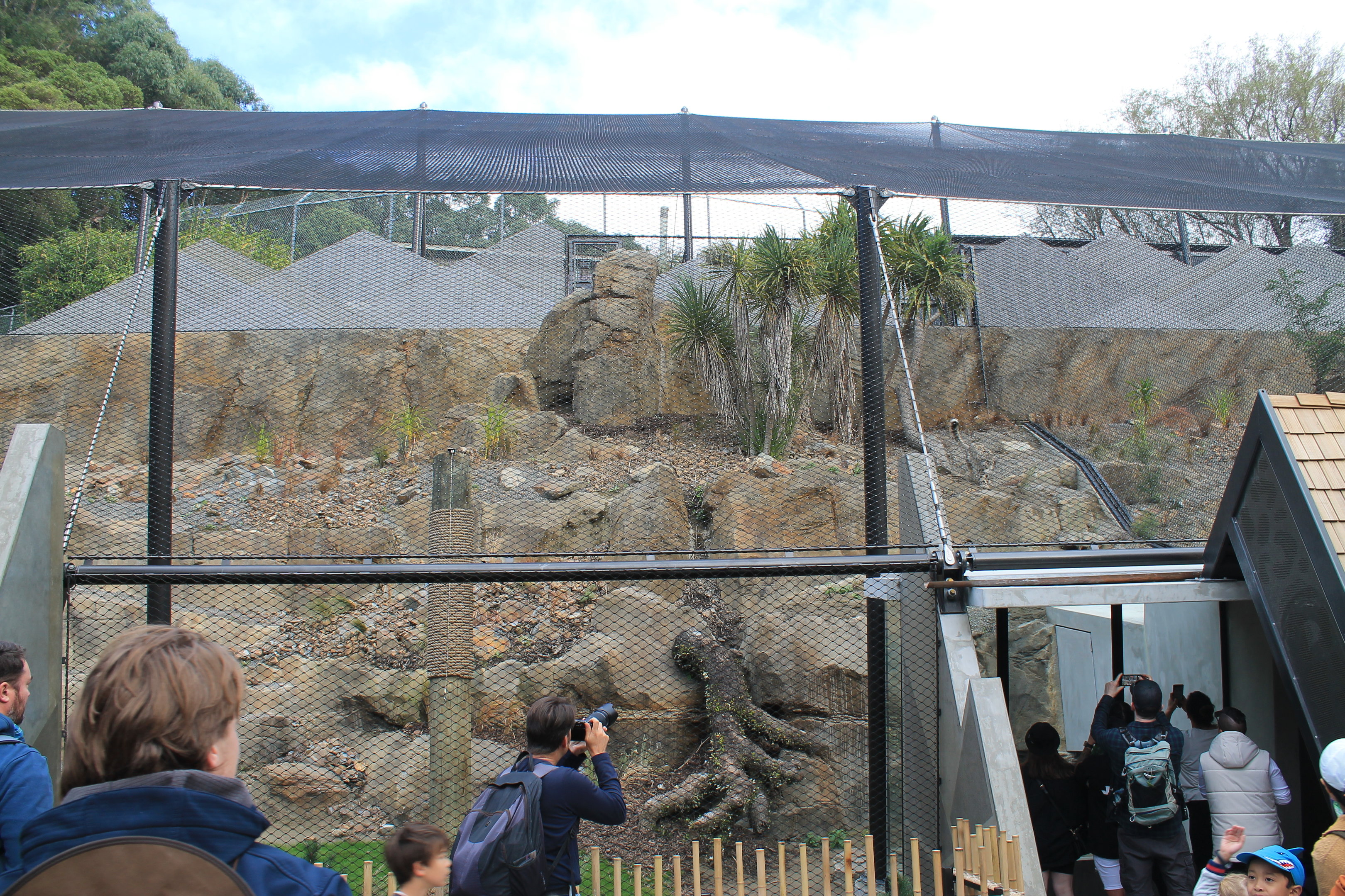 New Snow Leopard enclosure (left side)