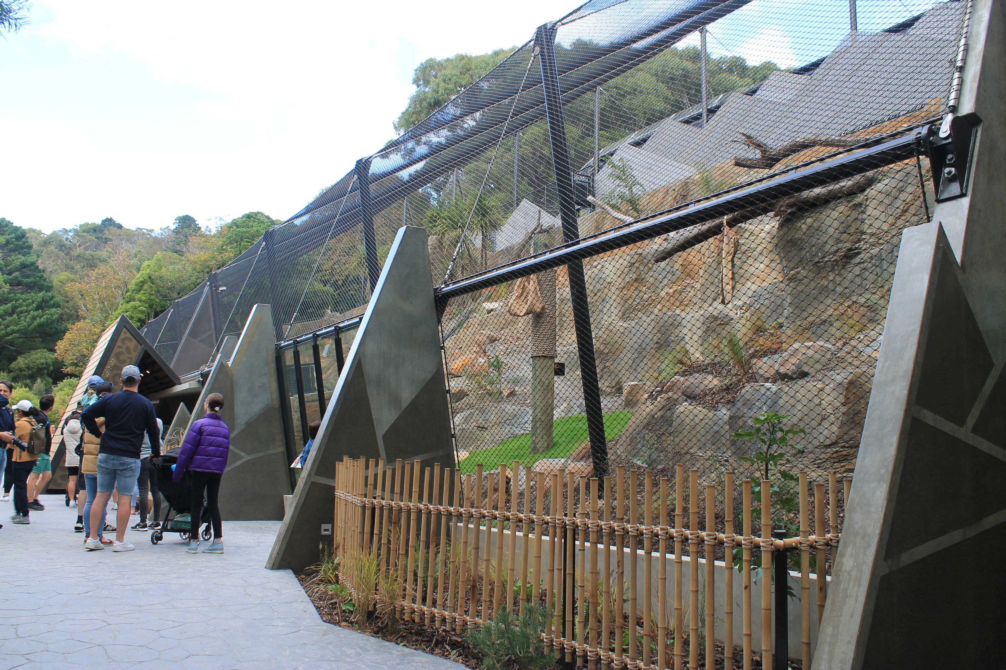 New Snow Leopard enclosure (right side)