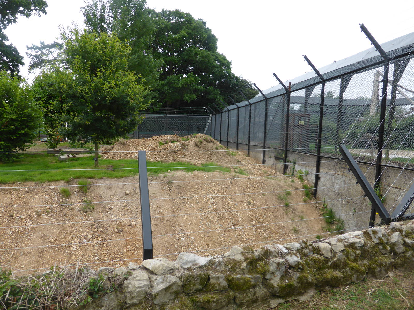 New snow leopard enclosure